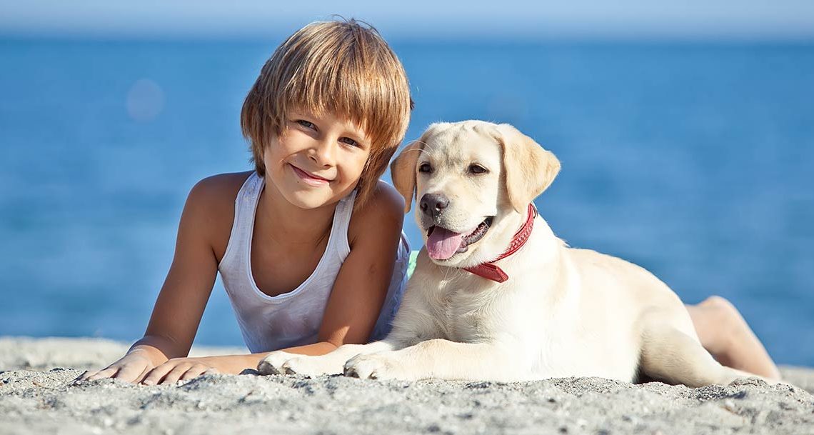 Hotel Pet Friendly a Cattolica: Hotel Ambasciatori